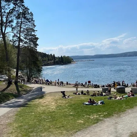 Nordic Retreat Quiet Oasis In Oslo